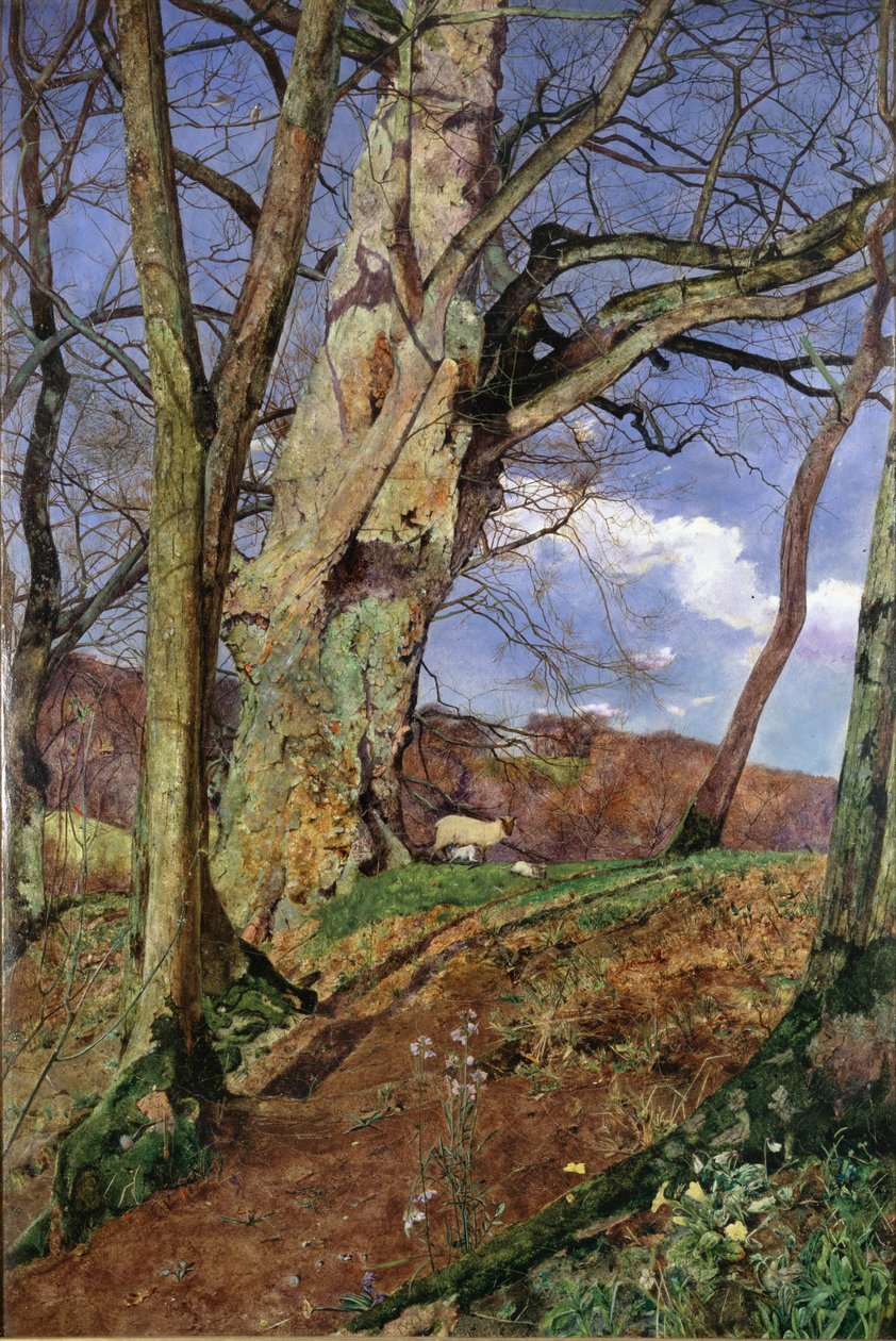 En undersøgelse, i marts, udstillet 1855 af John William Inchbold