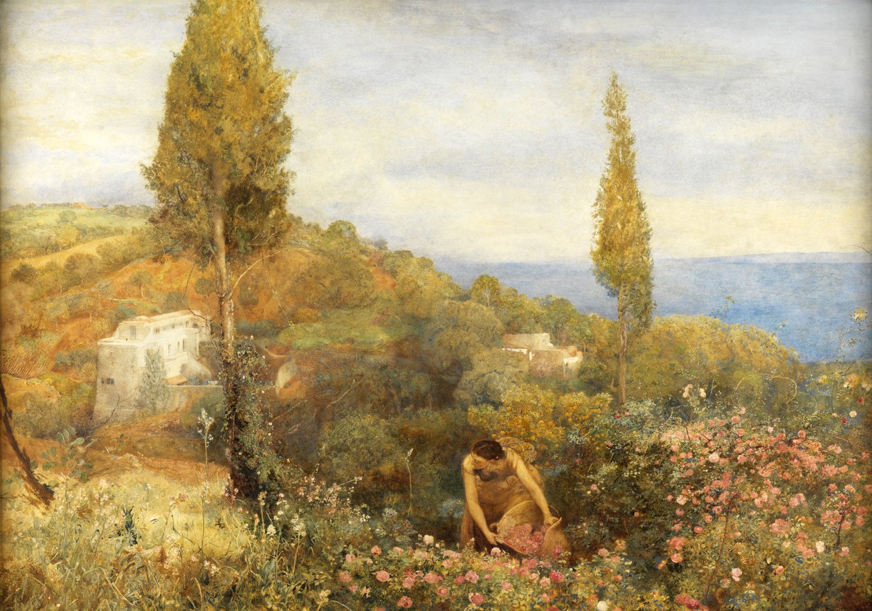 Roser, Asphodel og Cypres - Algeriet af John William North