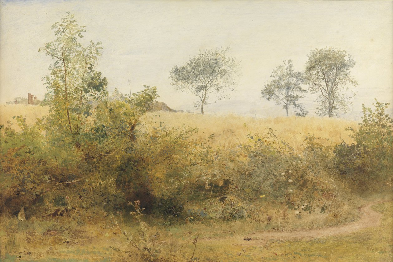 Flagermusen begynder med svimlende vinge - Bygmark over hækken, 1885 (wc & blyant med ridser ud på papir) af John William North