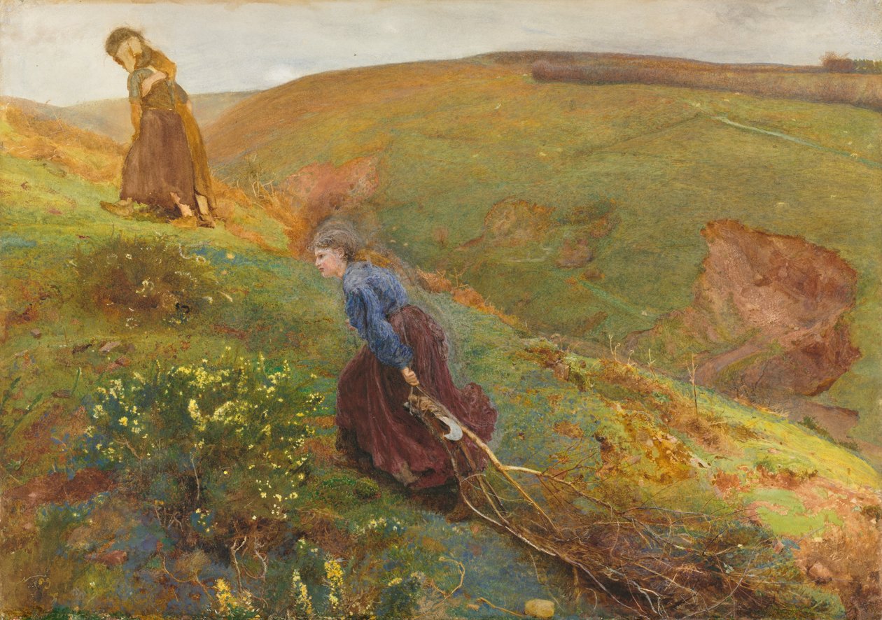 Skovsamlerne af John William North