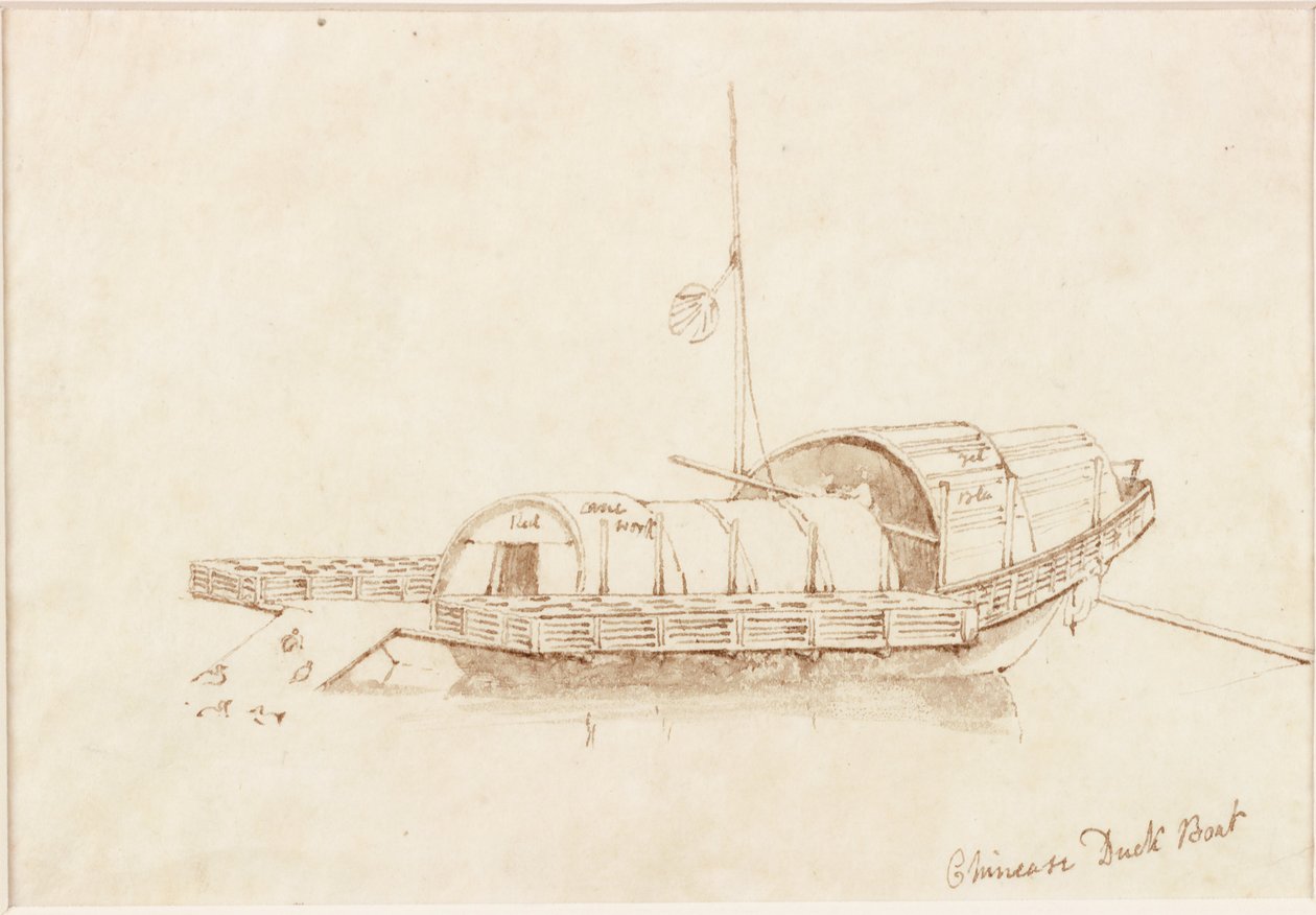 Kinesisk andebåd (blæk (spiral) på papir (på papir)) af John Wilson Carmichael