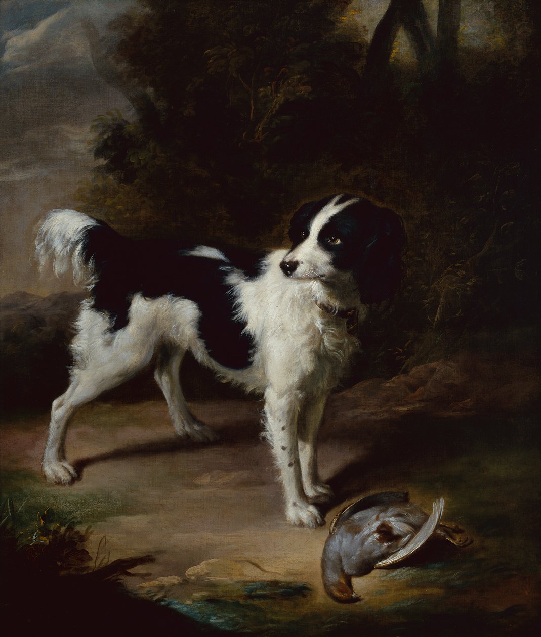 En sort og hvid springer spaniel med en død agerhøne i et landskab (olie) af John Wootton