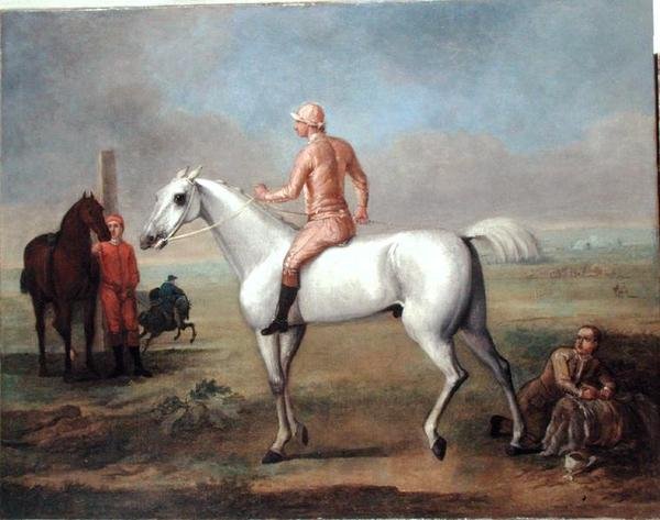 Arabisk hingst med Jockey Up (olie på lærred) af John Wootton