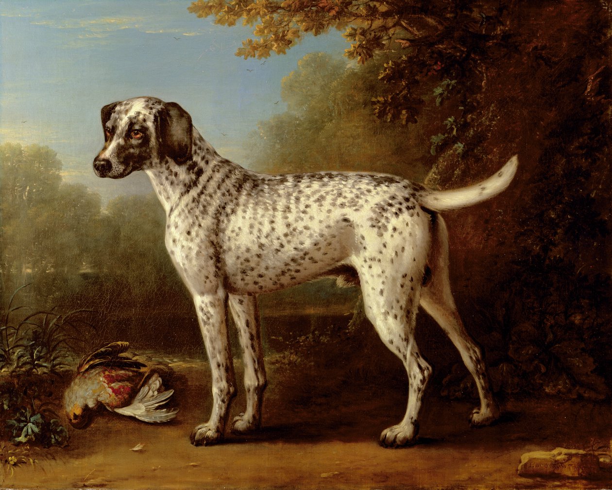 Gråplettet hund af John Wootton