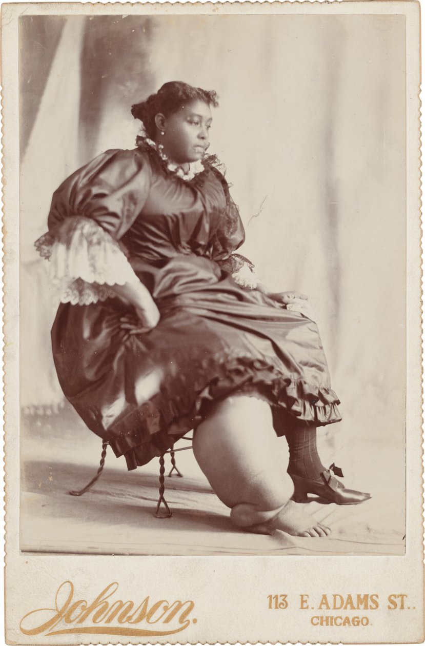 Portræt af en kvinde, ca. 1890 (foto) af Johnson