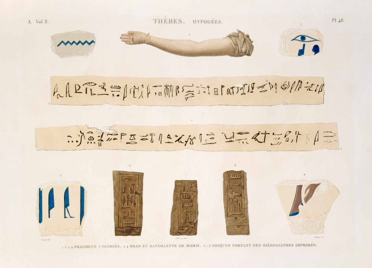 Illustrationer af hieroglyffer og armen af en mumie fra Hypogees, Theben, plade 48 fra bind II af `Descriptions of Egypt`, indgraveret af Charles, 1822 (akvatint) af Jomard