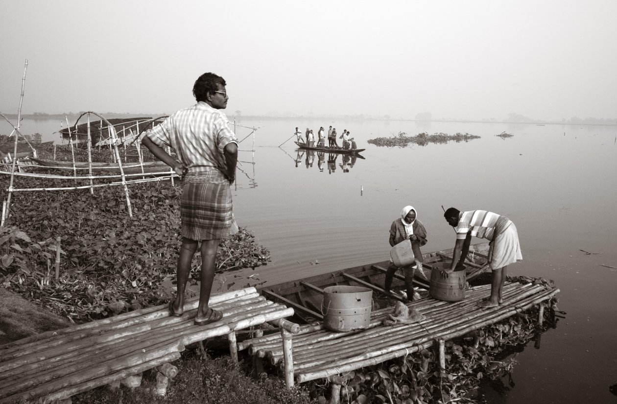 Fiskeri i vådområder i Kolkata, 2016 (foto) af Jon Nicholson