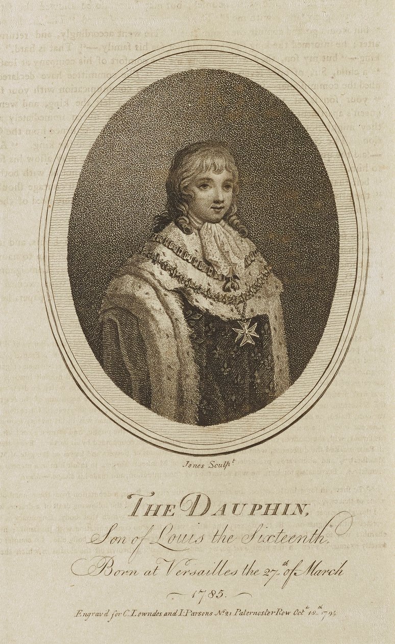 Delfinen af Jones