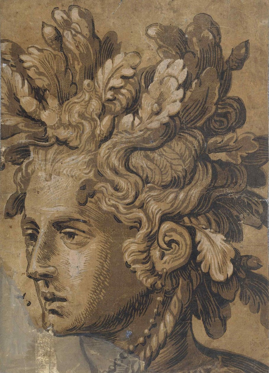 Dryadehoved efter Frans Floris, ca 1555. af Joos van Gietleughen