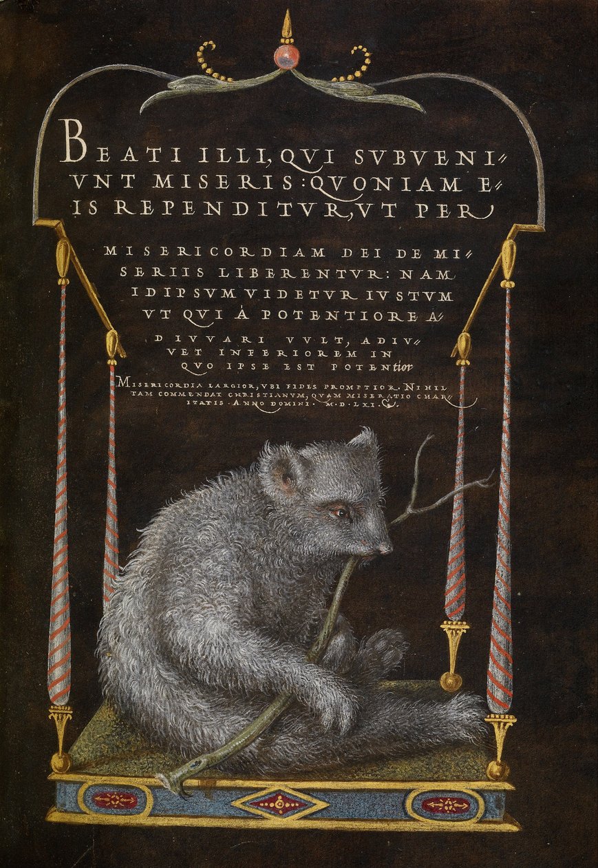 En dovendyr af Joris Hoefnagel