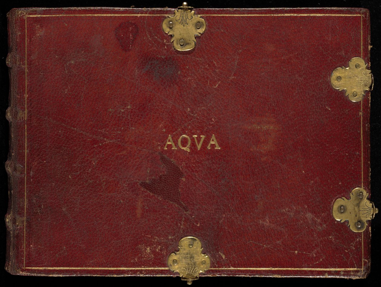 Animalia Aqvatilia et Conchiliata (Aqva), bind III af Joris Hoefnagel