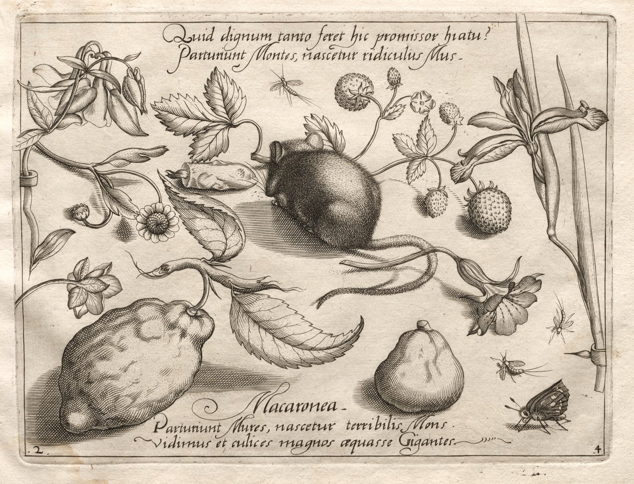 Arketyper og studier: Hvad kan dukke op i overensstemmelse med et sådant hule løfte, 1592. af Joris Hoefnagel
