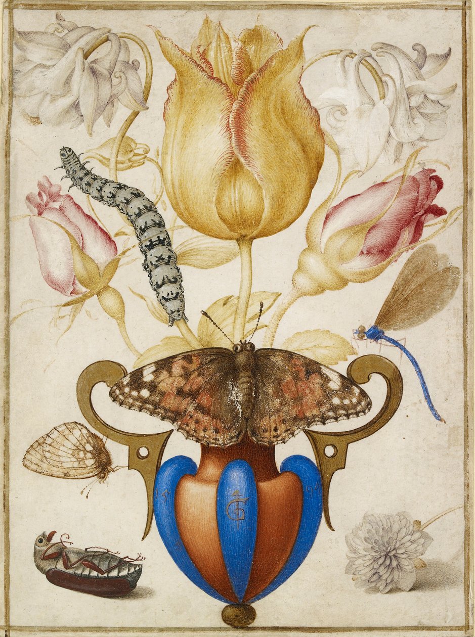 Arrangement af blomster i en vase, med insekter, 1594 af Joris Hoefnagel