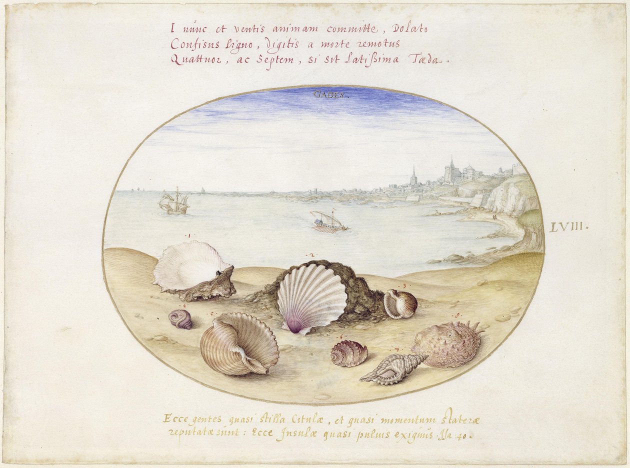 Muslinger og udsigt over Cádiz, ark LVIII af Joris Hoefnagel