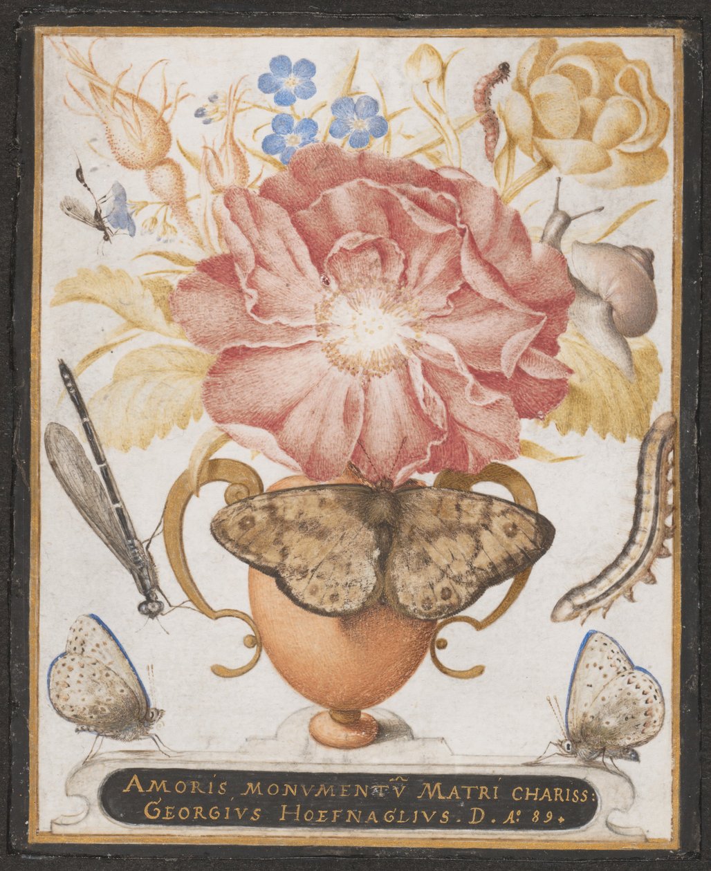 Stilleben med blomster, en snegl og insekter, 1589. af Joris Hoefnagel