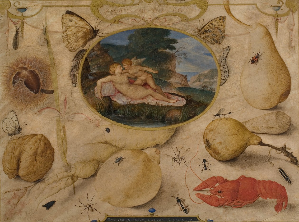 Venus afvæbner Amor i en medaljon omgivet af planter, frugter, insekter og skaldyr, ca. 1595 (wc og bodycolour) af Joris Hoefnagel