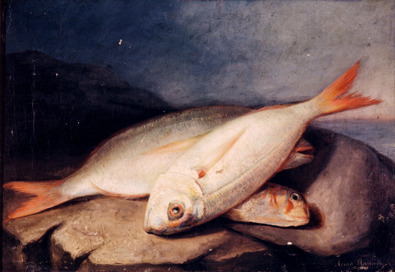 Spansk: Bodegón de peces af José Arias Ramírez