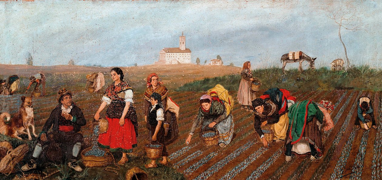 "" Safranindsamlingen "" Detalje. Maleri af Jose Albinana Bru (1800-tallet). 1877. Valencia. Museum of Fine Arts San Pio V. af Jose Bru Albinana