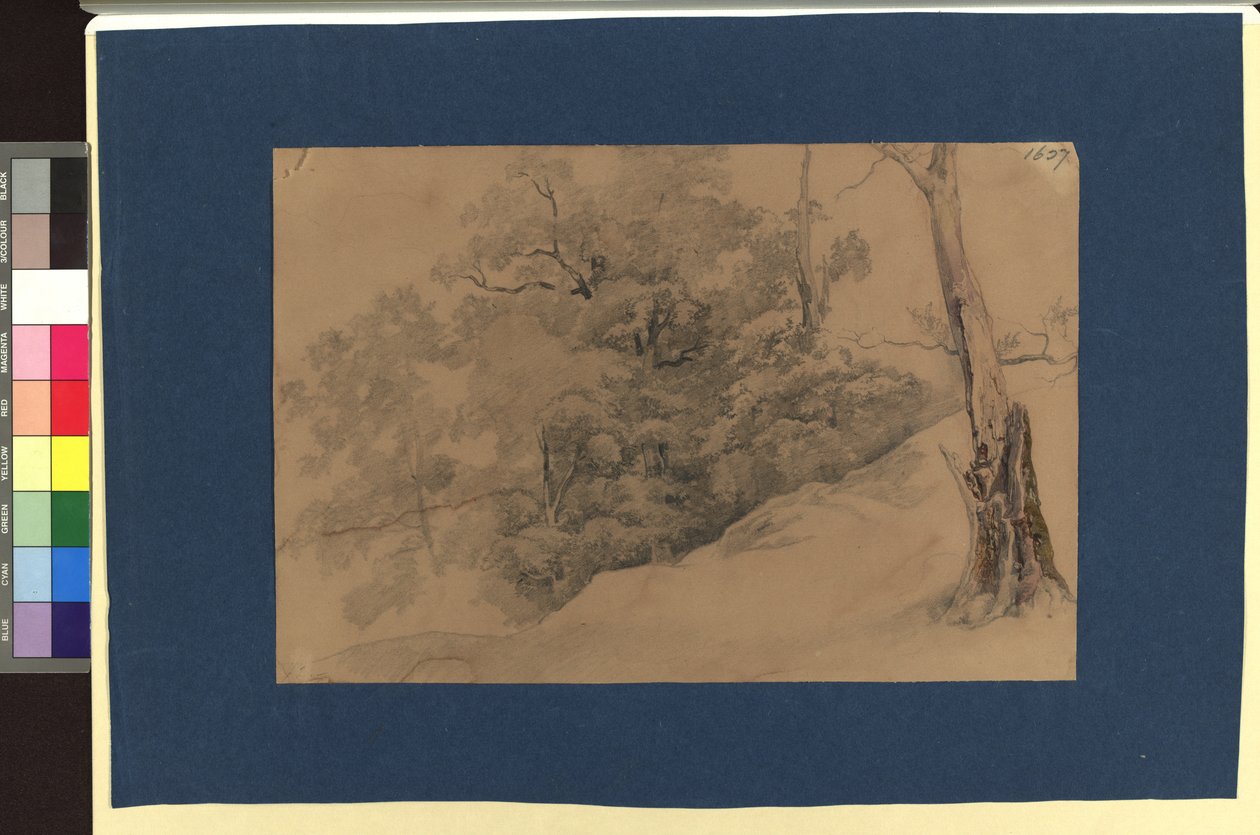 Landschaftsstudie af Josef Kriehuber