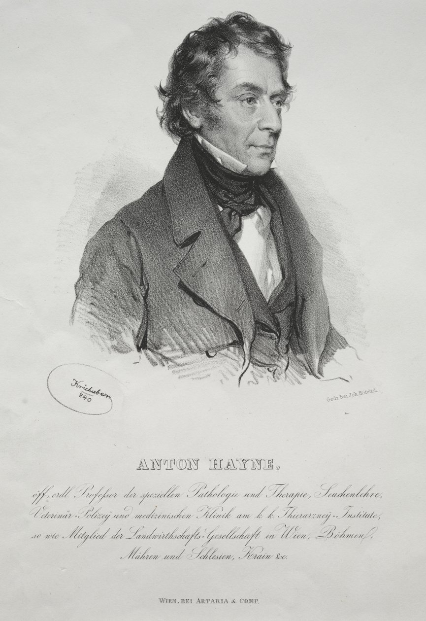 Portræt af Dr. Anton Hayne af Josef Kriehuber