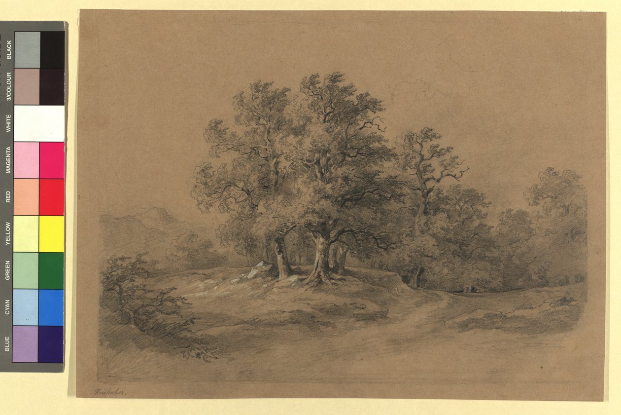 Skovlandskab af Josef Kriehuber