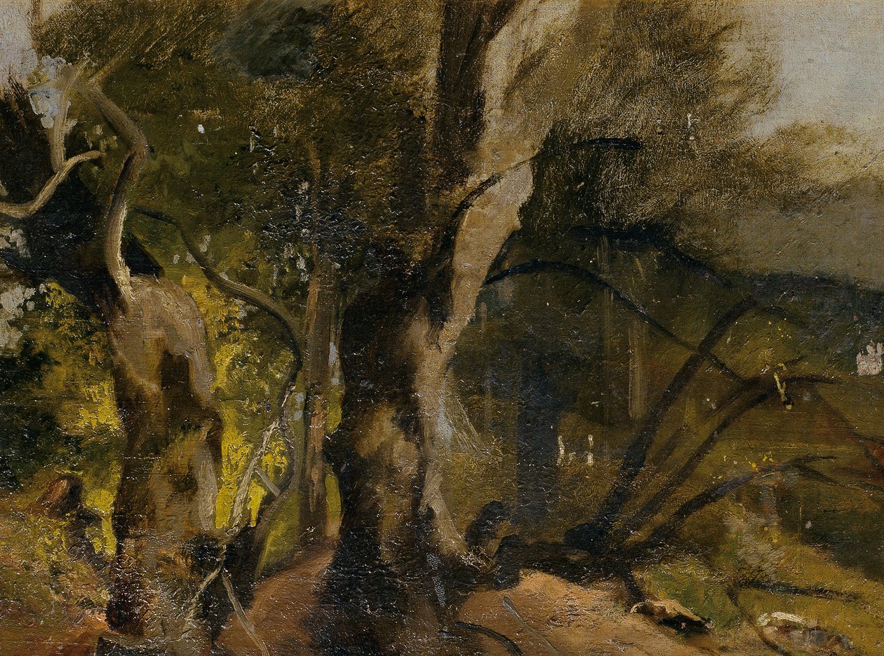 Waldstudie af Josef Navrátil