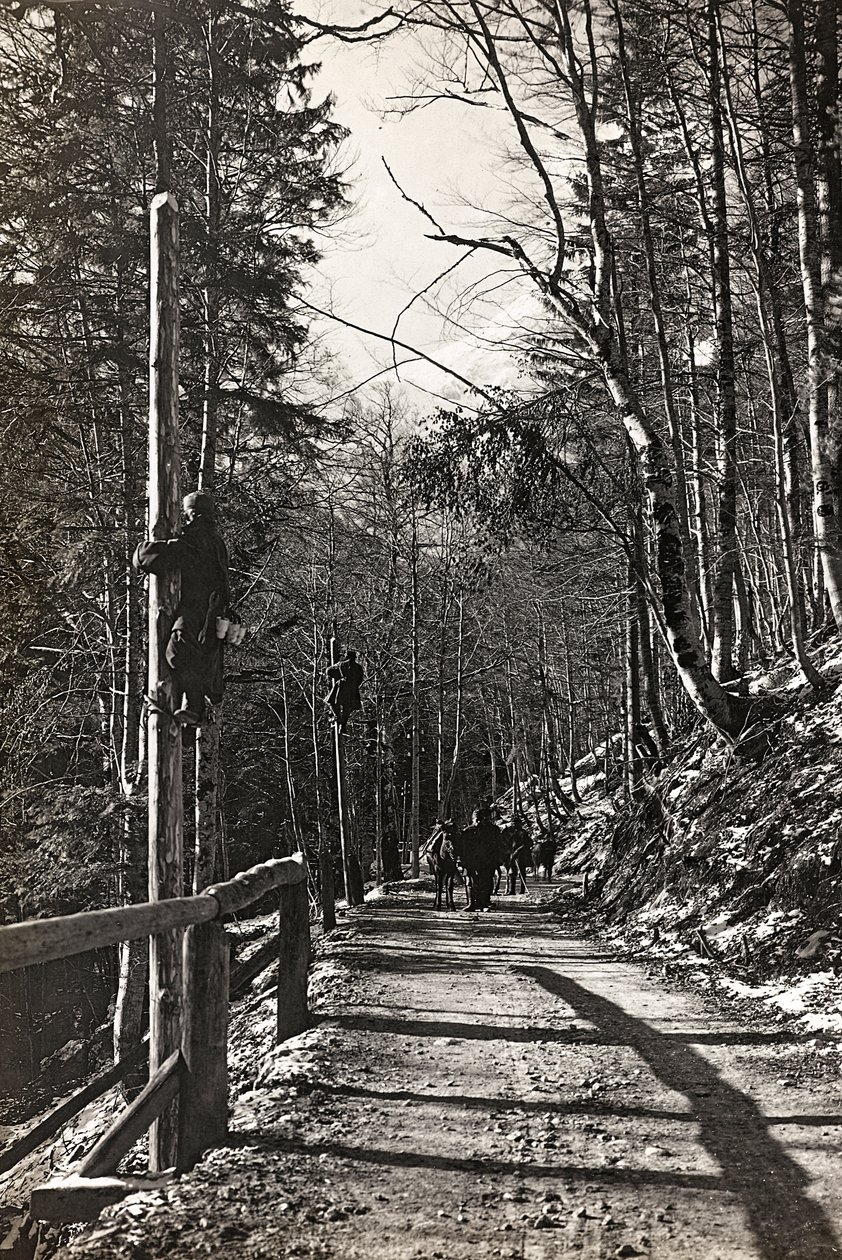 Album "Min verdenskrig - minder om den sydvestlige front i Kärnten, Italien, Trentino-Alto Adige) 31/03/1915-12/11/ 1918 - Josef Zohles Wien ": soldater på arbejde (s/h foto af Josef Zohles