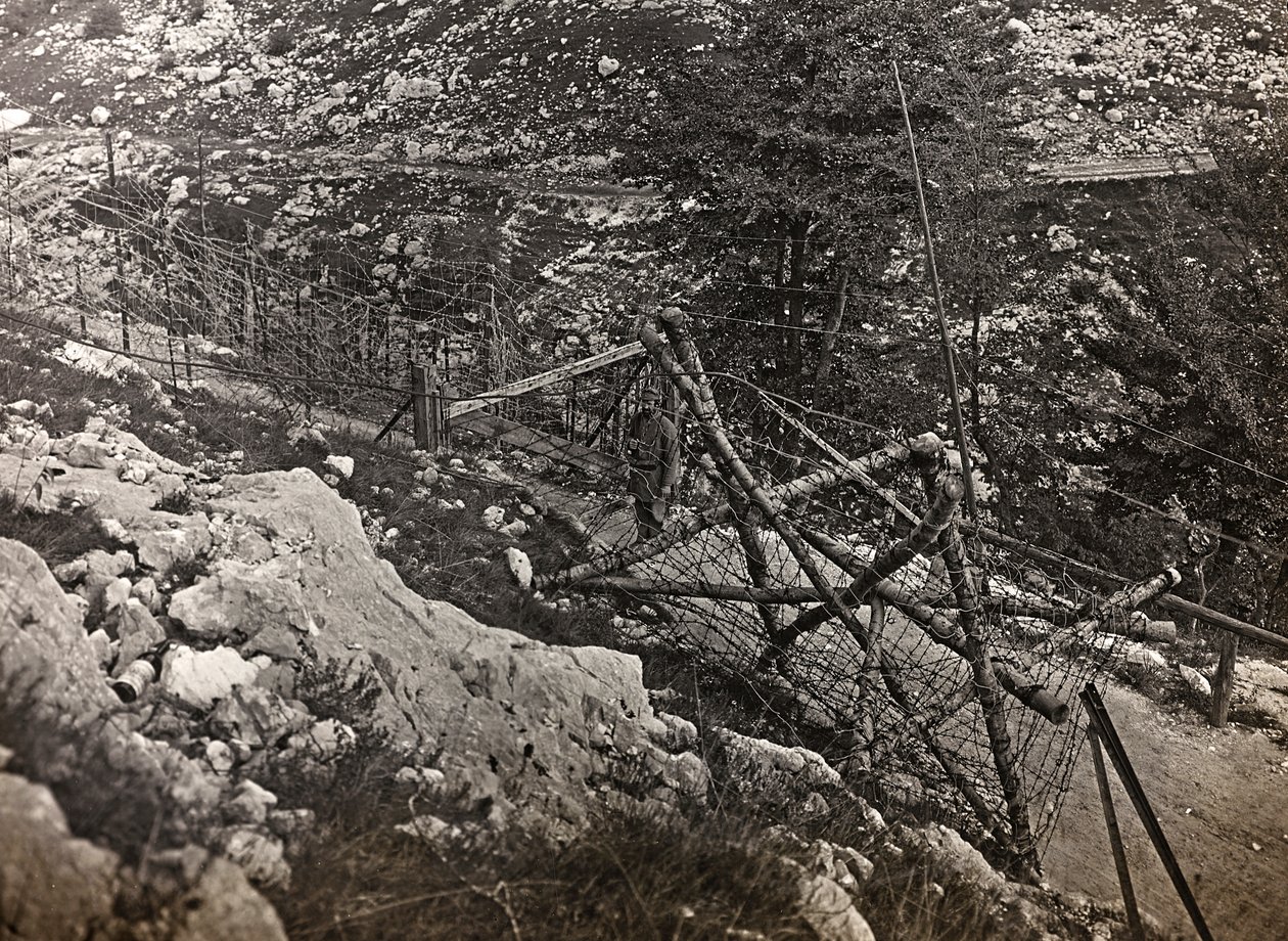 Album "Min verdenskrig - minder om den sydvestlige front i Kärnten, Italien, Trentino-Alto Adige) 31/03/1915-12/11/ 1918 - Josef Zohles Vienna ": pigtråd (s/h foto) af Josef Zohles