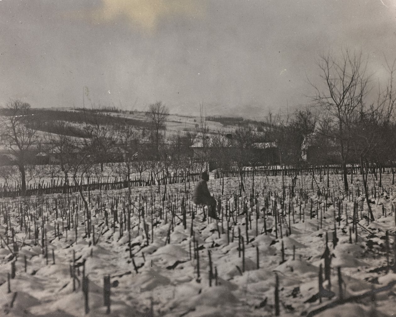 Album "Min verdenskrig - minder om den sydvestlige front i Kärnten, Italien, Trentino-Alto Adige) 31/03/1915-12/11/ 1918 - Josef Zohles Vienna ": militærkirkegård (s/h foto) af Josef Zohles
