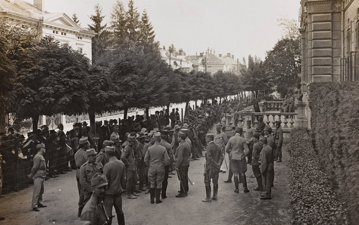 Album "Min verdenskrig - minder om den sydvestlige front i Kärnten, Italien, Trentino-Alto Adige) 31/03/1915-12/11/ 1918 - Josef Zohles Wien ": soldater med mange fanger af Josef Zohles