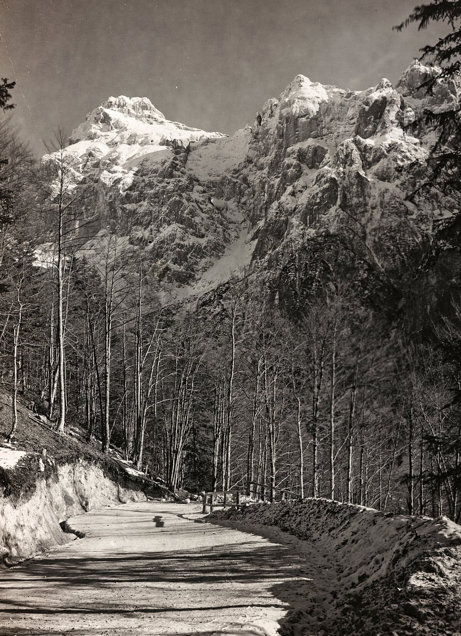 Album "Min verdenskrig - minder om den sydvestlige front i Kärnten, Italien, Trentino-Alto Adige) 31/03/1915-12/11/ 1918 - Josef Zohle