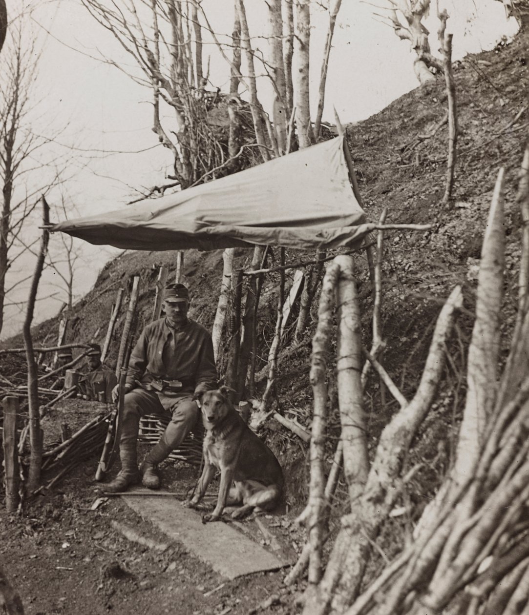 Album "Min verdenskrig - minder om den sydvestlige front i Kärnten, Italien, Trentino-Alto Adige) 31/03/1915-12/11/ 1918 - Josef Zohles Vienna ": militærhund under et telt ( af Josef Zohles