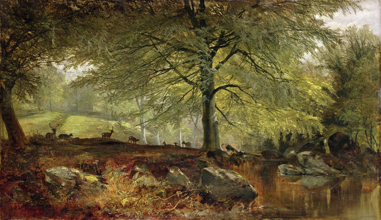 Hjorte i en Skov af Joseph Denovan Adam
