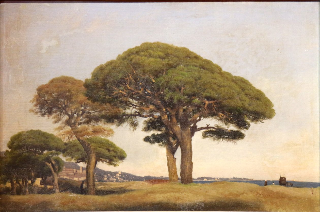 Bocca -fyrretræerne af Joseph Contini