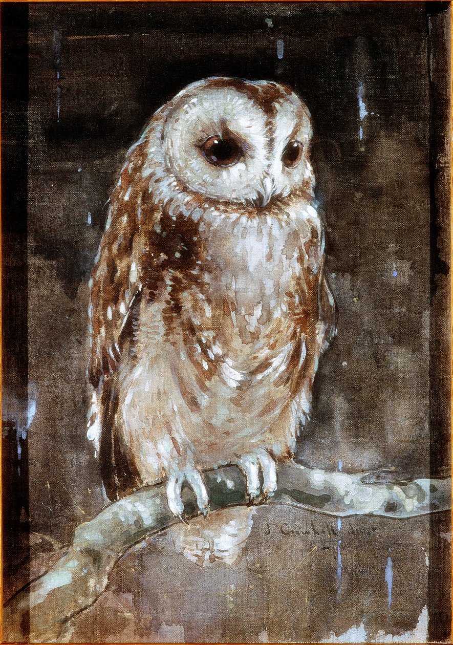 Tawny Owl (kropsfarve og akvarel på tekstil (brunt holland) af Joseph Crawhall