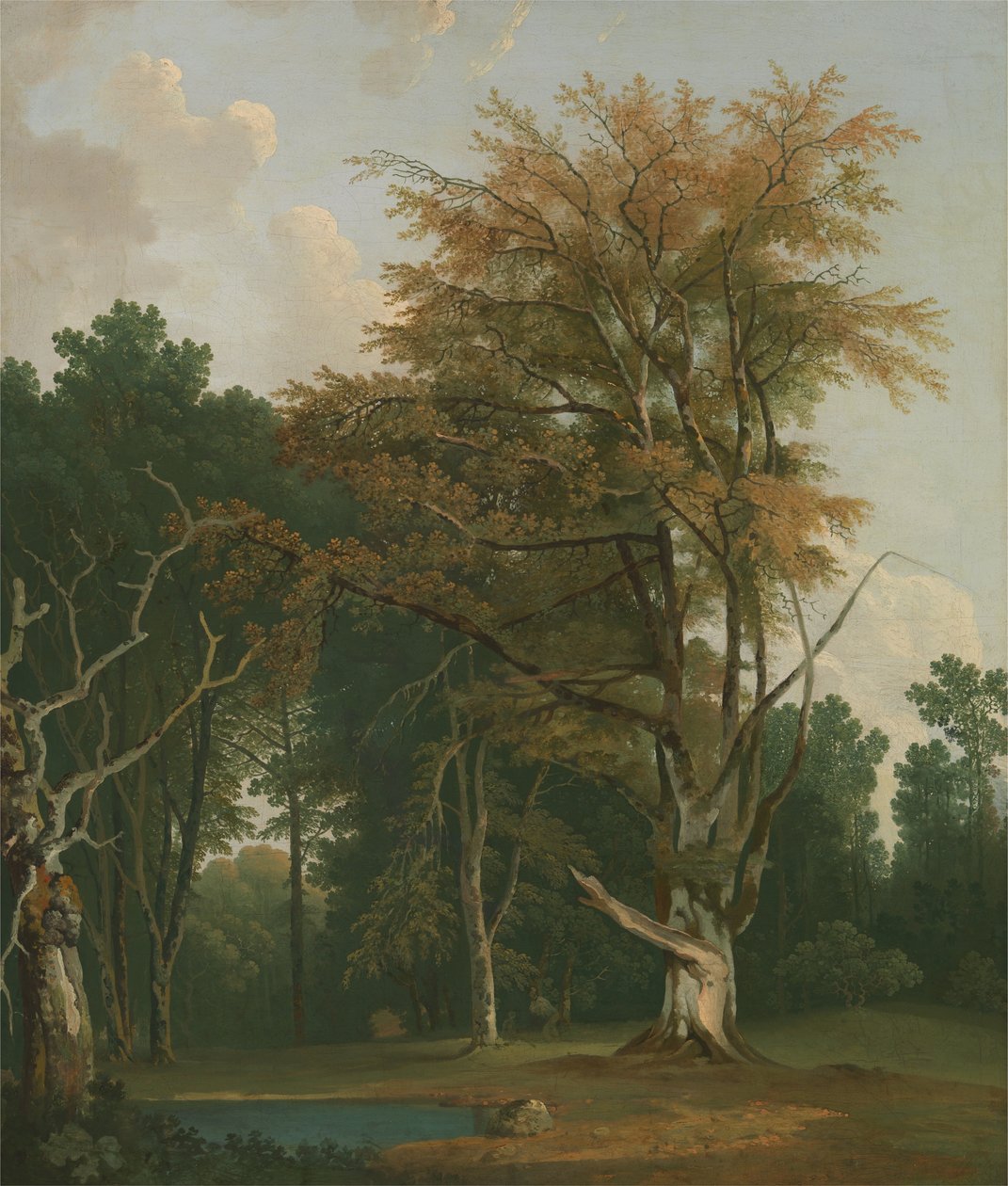 Træer i en Woodland Glade af Joseph Farington