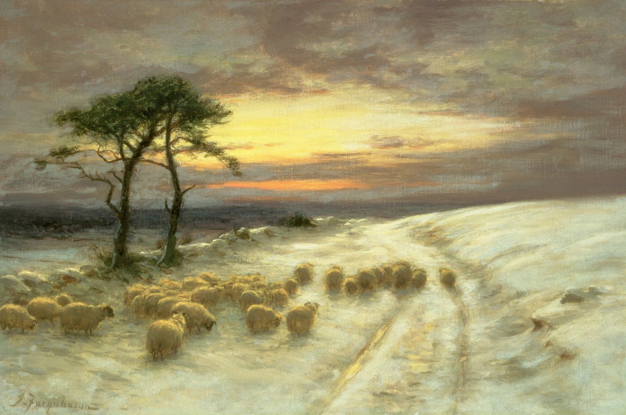 Får i sneen af Joseph Farquharson