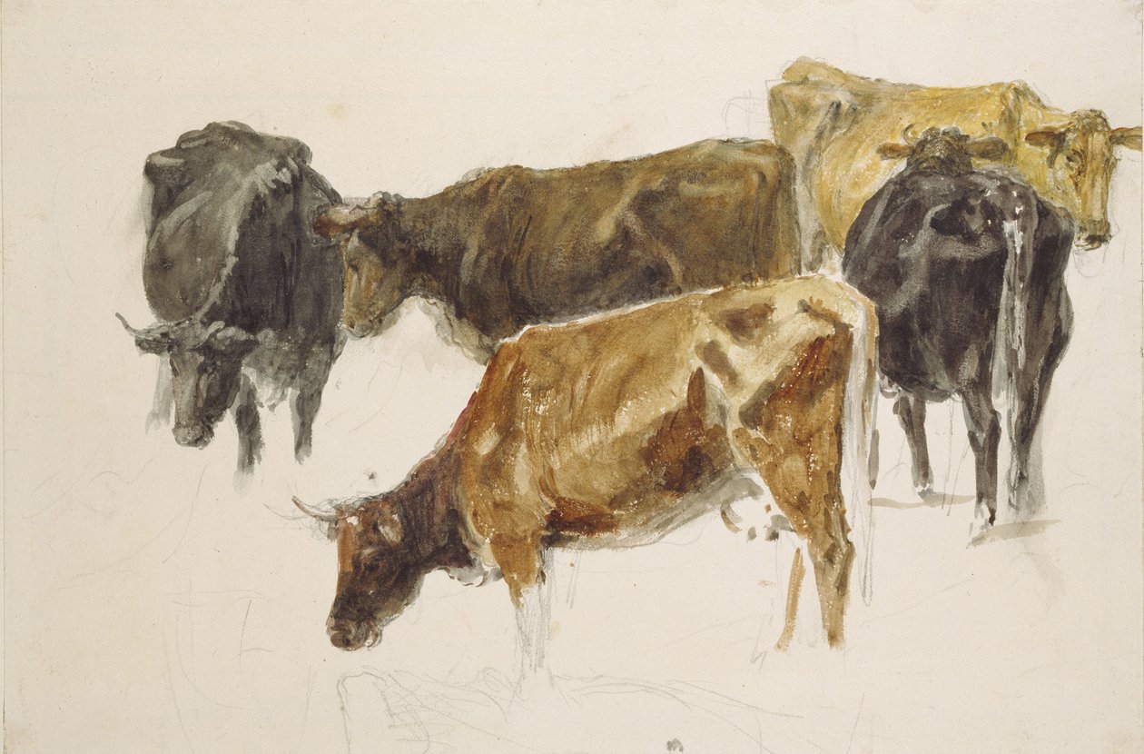 Studie af en gruppe køer, ca. 1801 (akvarel over grafit, med nogle ridser, på vævet papir) af Joseph Mallord William Turner