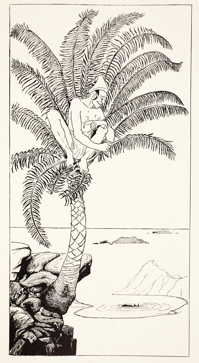 Pestonjee Bomanjee sidder i sit palmetræ og ser næsehornsstorkene bade, illustration fra 