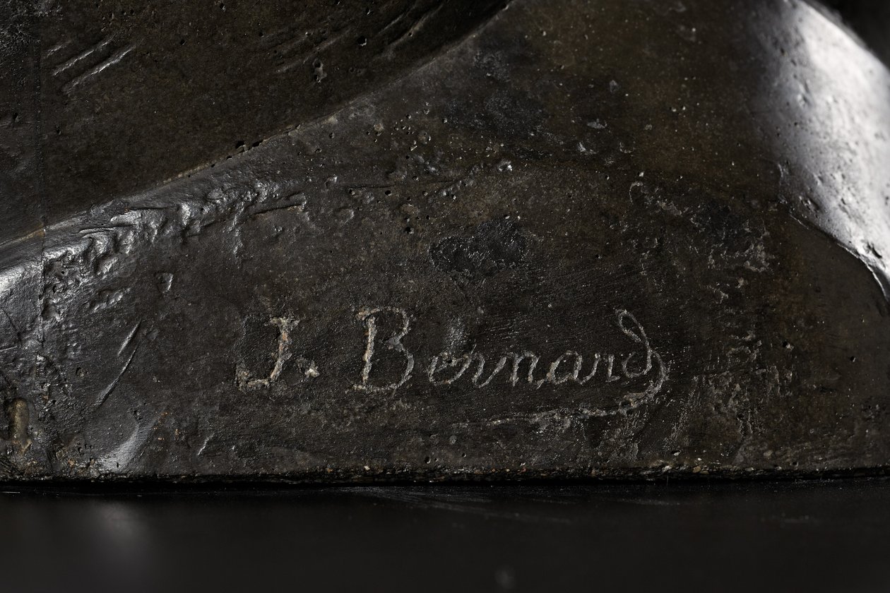 Detalje af hovedet med hejren af Joseph Bernard
