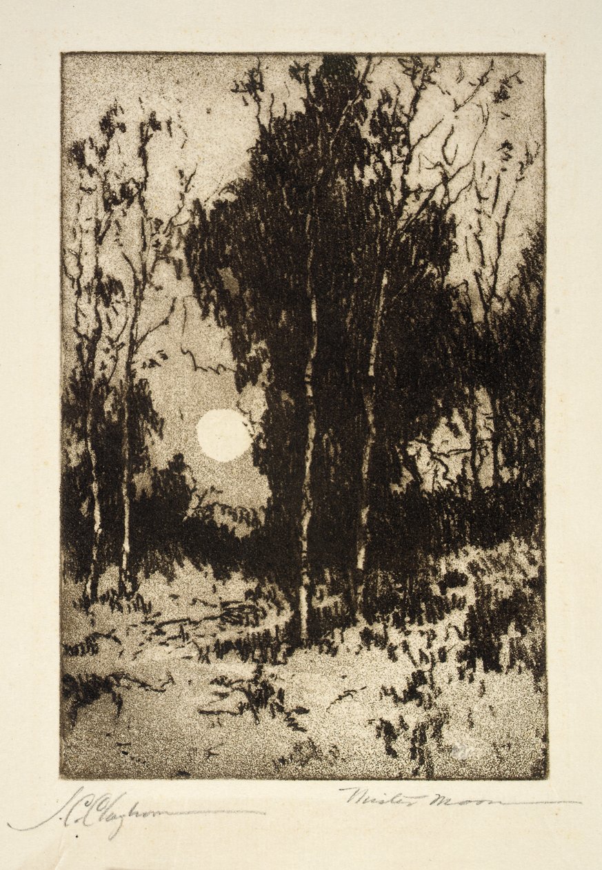 Hr. Moon af Joseph C. Claghorn
