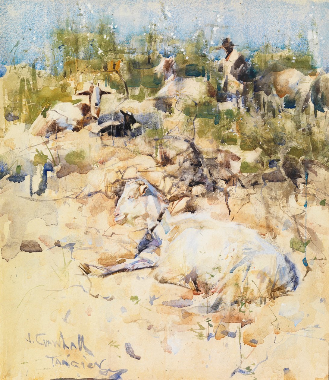 Geder på en bjergside, Tanger (akvarel med strejf af gouache på papir) af Joseph Crawhall