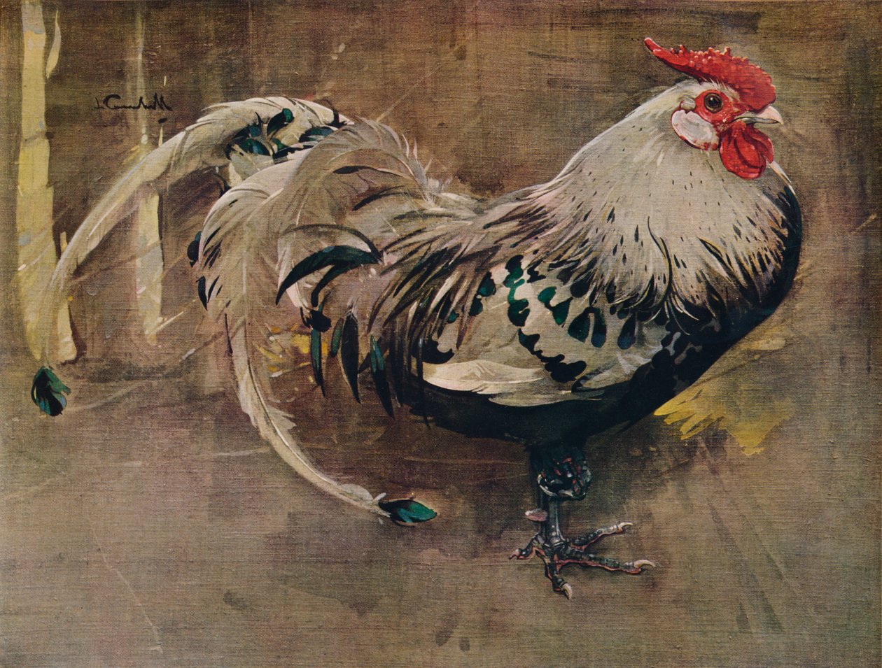 The Spangled Cock, 1903 1935 af Joseph Crawhall