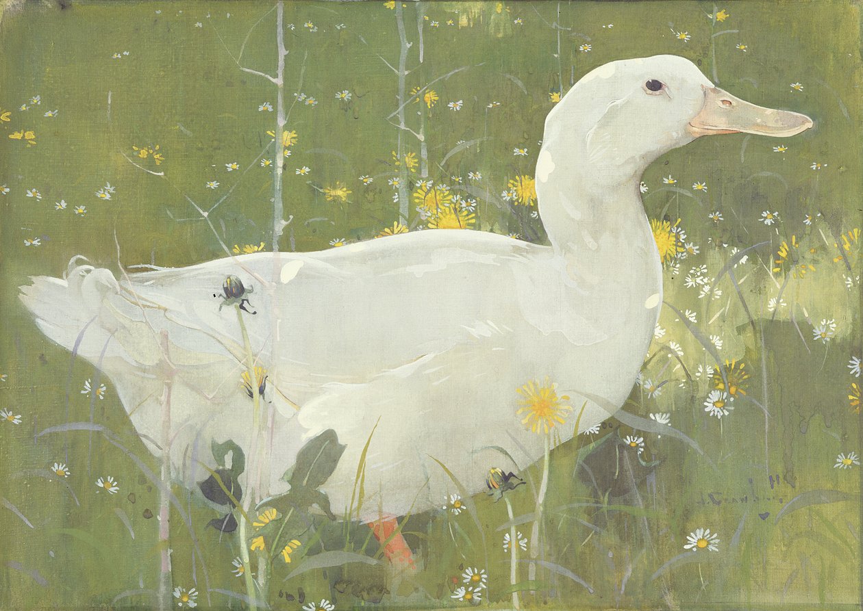 The White Drake (gouache på lærred) af Joseph Crawhall