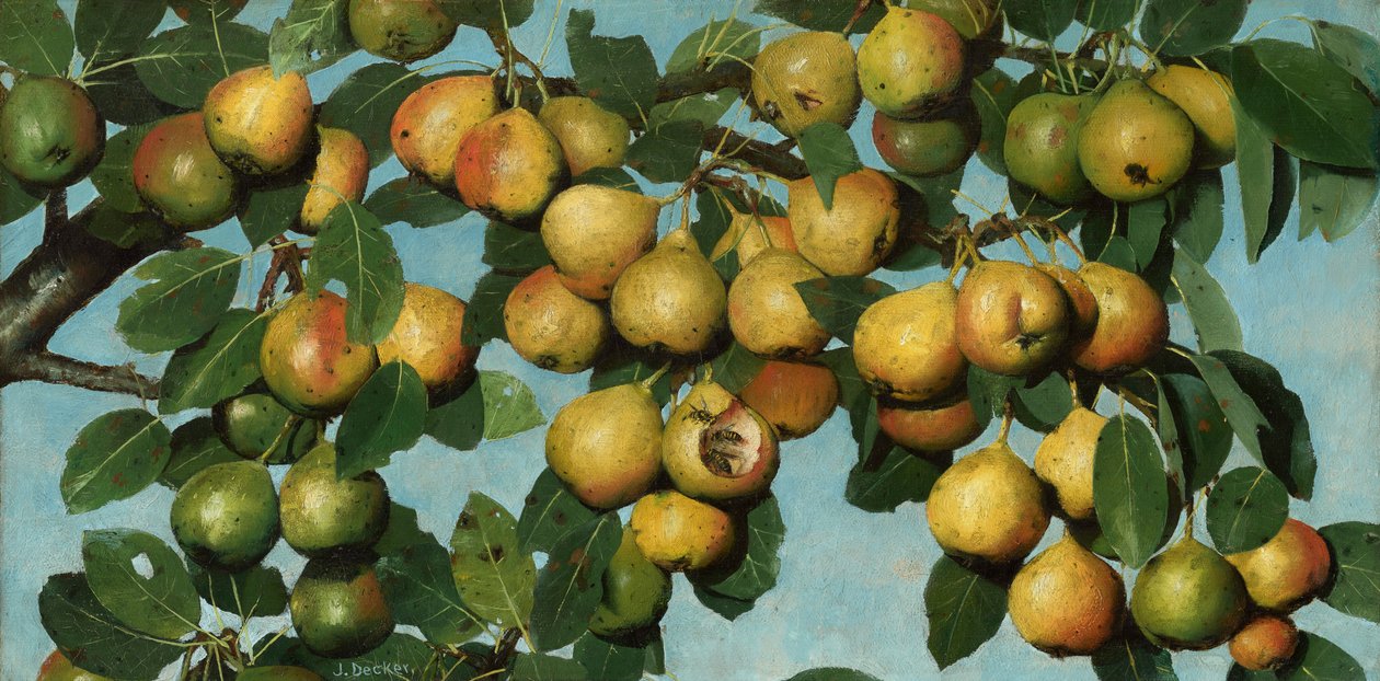 Modne pærer, ca. 1884-1885 (olie på lærred) af Joseph Decker