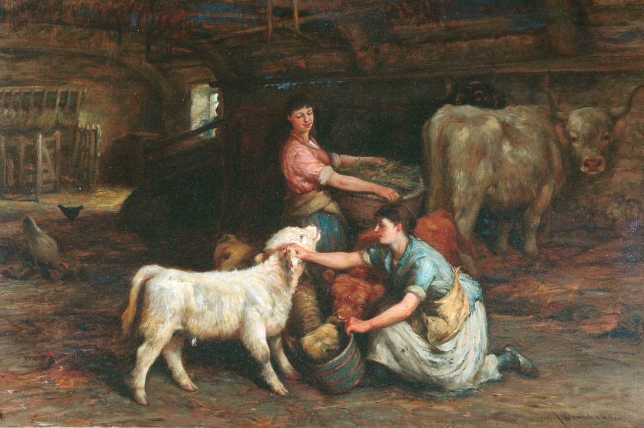 Fodring af kalvene af Joseph Denovan Adam