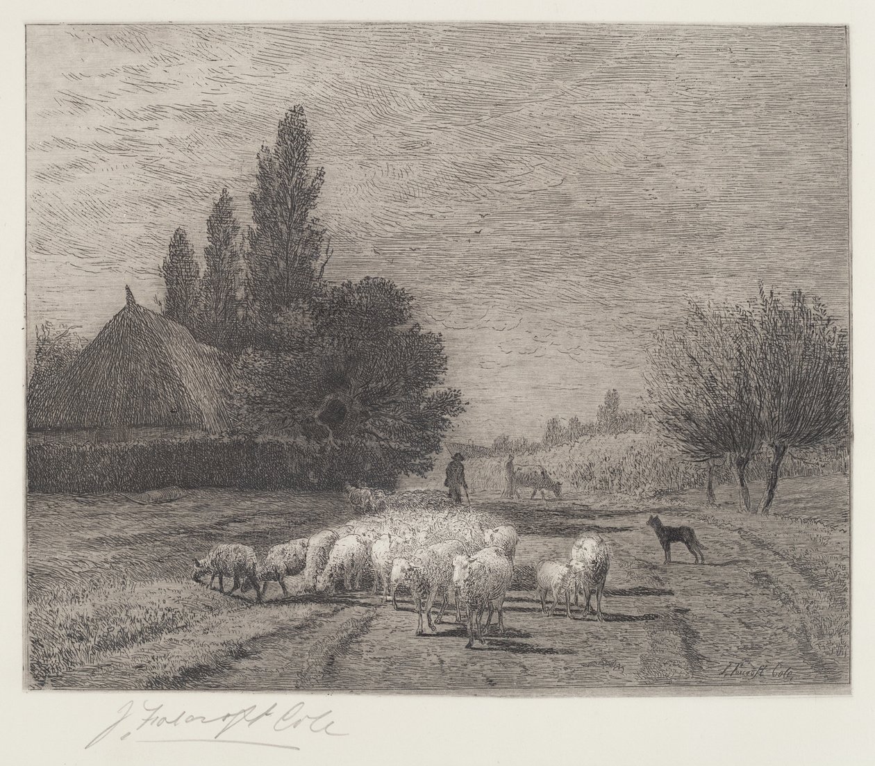 Landsbygade i Frankrig med en flok får af Joseph Foxcroft Cole