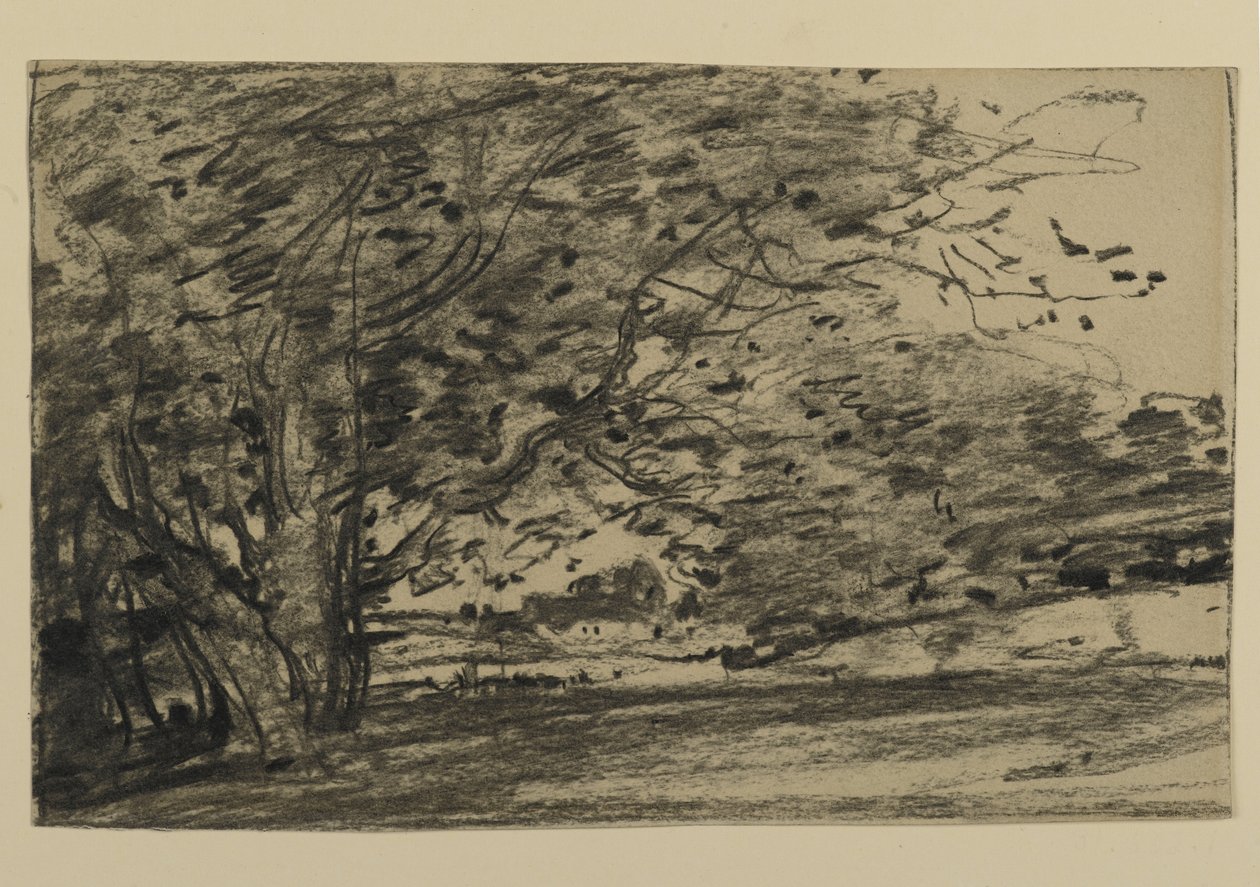 Study of Trees, 1870 (grafit på papir) af Joseph Frank Currier