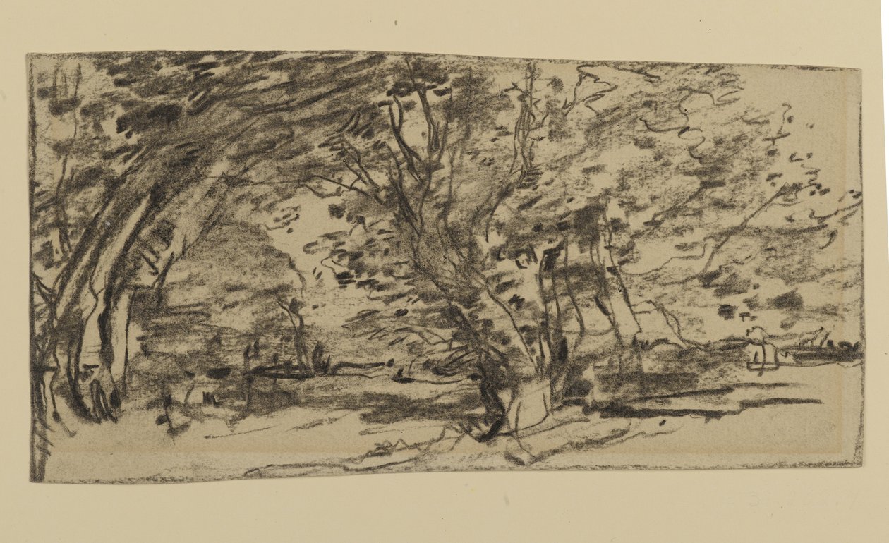 Study of Trees, 1870 (grafit på papir) af Joseph Frank Currier