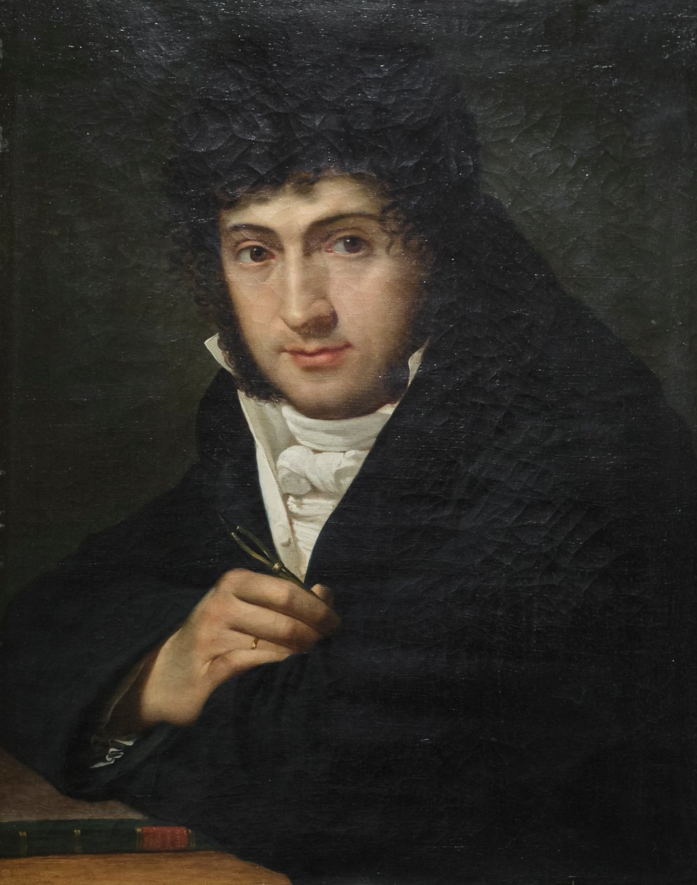 Portræt af Pelagio Palagi, Joseph François Ducq (olie på lærred) af Joseph François Ducq